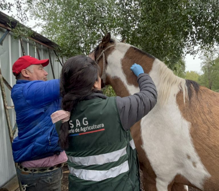 SAG detecta los primeros casos de Anemia Infecciosa Equina en Los Ríos