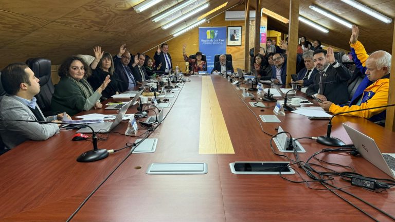 GORE destina $193 millones para doce proyectos del área cultural, deportiva y medioambiental