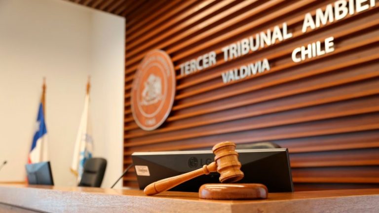 Tribunal Ambiental rechazó reclamación contra SMA que archivó denuncias de “Mall Paseo Valdivia”