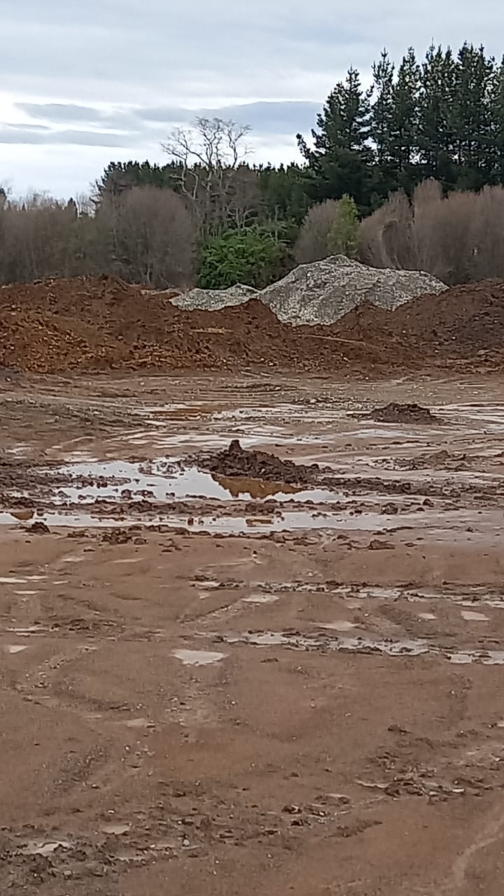 Áridos y desechos fecales están generando preocupación en Tronlico