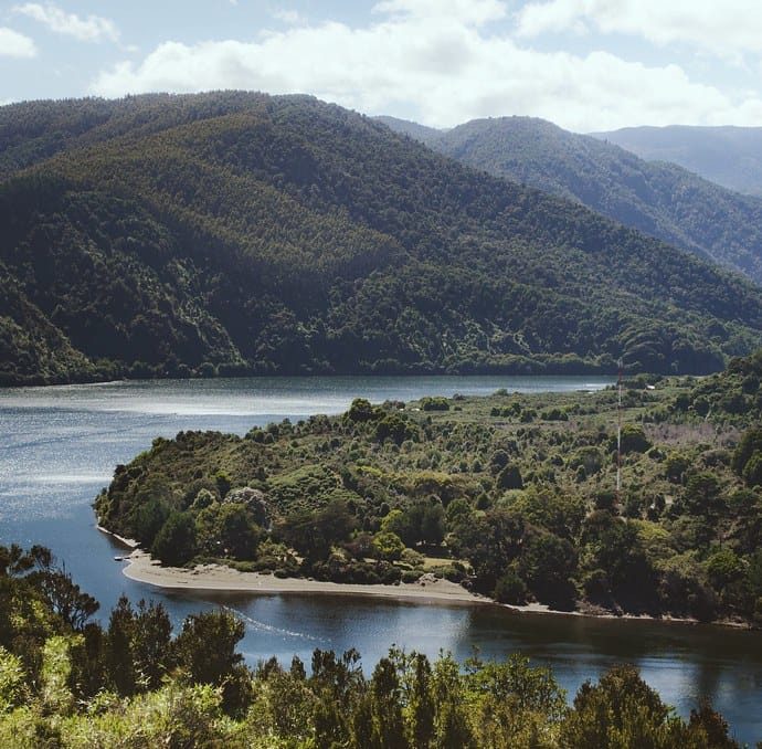 Trabajadores encuentran cuerpo flotando en el río Bueno