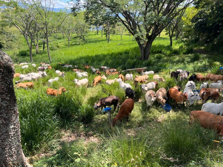 El suelo aún respira: viaje a las raíces heridas del campo colombiano