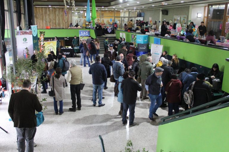 Apicultores de Los Ríos se capacitan en seminario realizado en Día Nacional de la Miel