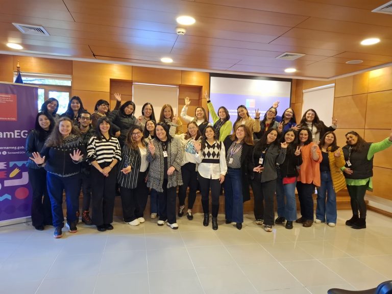 Sernameg capacita a ejecutores del Programa Mujeres Jefas de Hogar para fortalecer atención de participantes