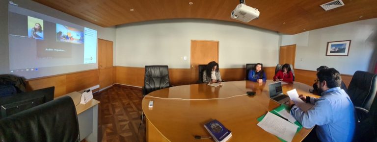 Comité de Género de Valdivia analiza nudos críticos de la ley integral contra la violencia hacia la mujer