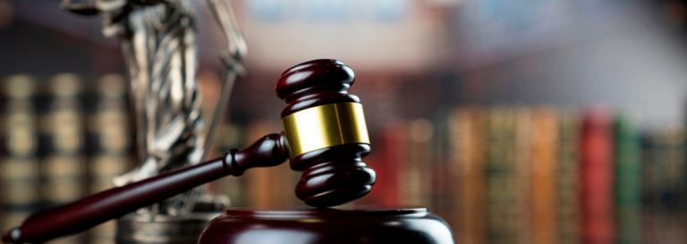 Corte Suprema confirma fallo que acogió demanda de reivindicación de terrenos en Lago Ranco