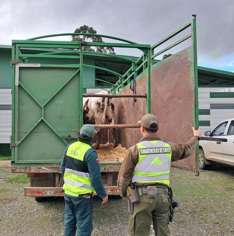 En control carretero detienen a hombre por abigeato