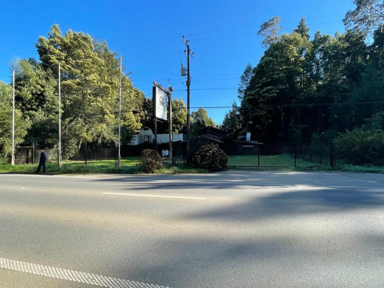 Carabineros detienen a dos sujetos sorprendidos robando en restaurante de Isla Teja