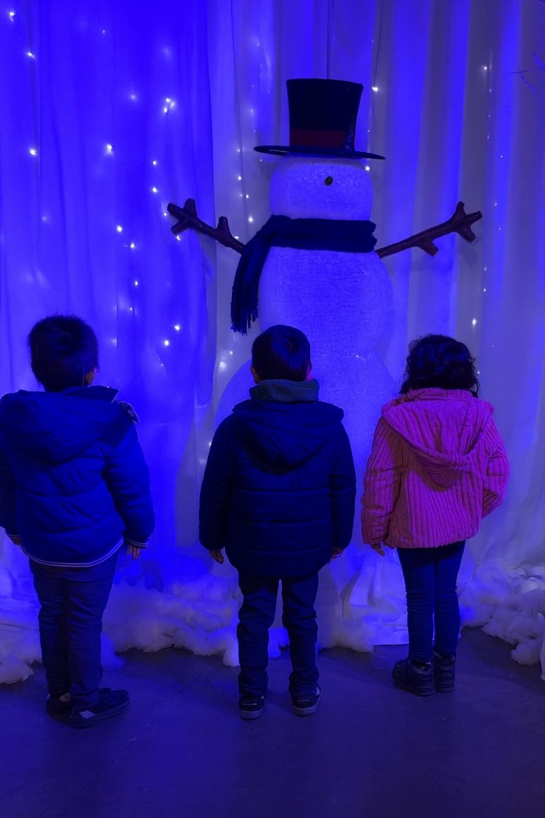 Alianza entre el Servicio de Protección y la Municipalidad de Valdivia acercó el circo sobre hielo a la niñez