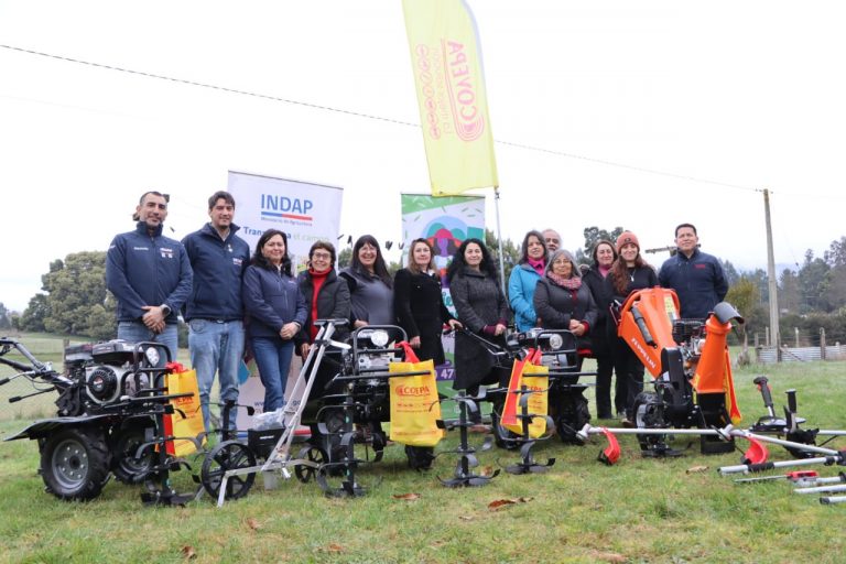 Mujeres rurales de Los Lagos reciben maquinaria e insumos para fortalecer su producción agrícola