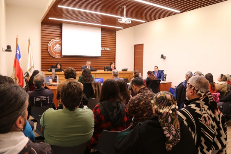 Tribunal Ambiental escuchó alegatos en la reclamación que busca anular las normas de calidad de aguas del río Valdivia
