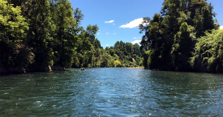 Fiscalía instruye diligencias por desaparición de dos personas en el río Pilmaiquén