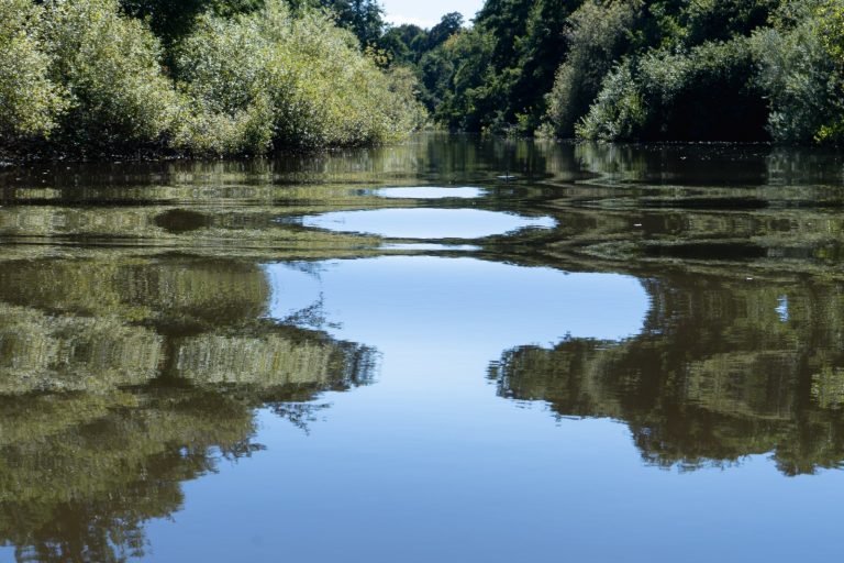 “Los Ríos: Territorio Visual” lanza su sexta versión e invita a artistas a explorar las cuencas