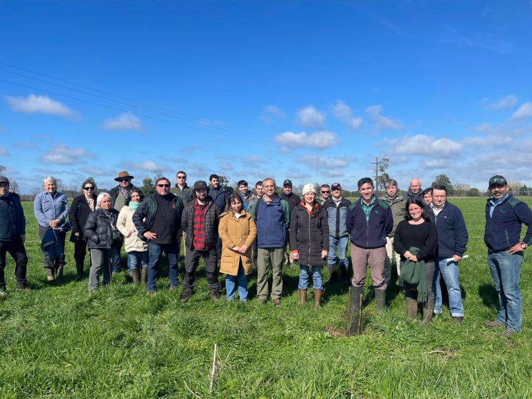 CONAF y APROVAL AG fortalecen trabajo conjunto para la restauración de bosques nativos a gran escala en predios ganaderos