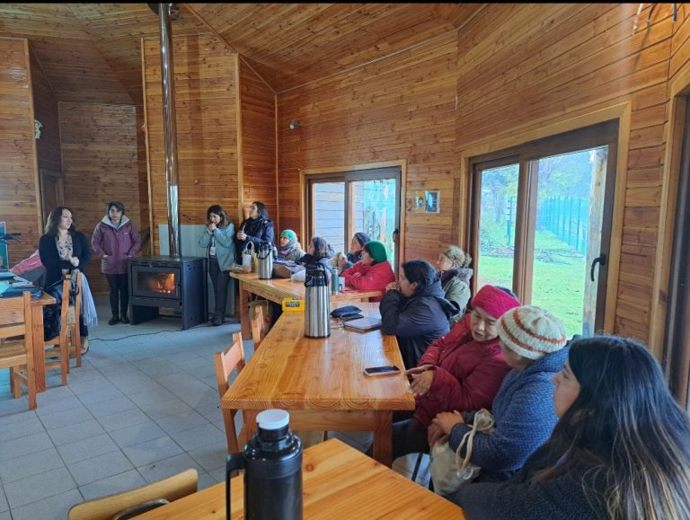 Con guía turística y sello para productos locales buscan potenciar Isla Huapi  