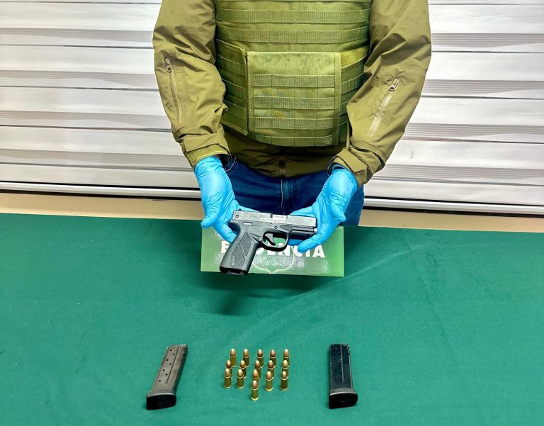 2 detenidos por porte de armas de fuego en Valdivia y Lanco