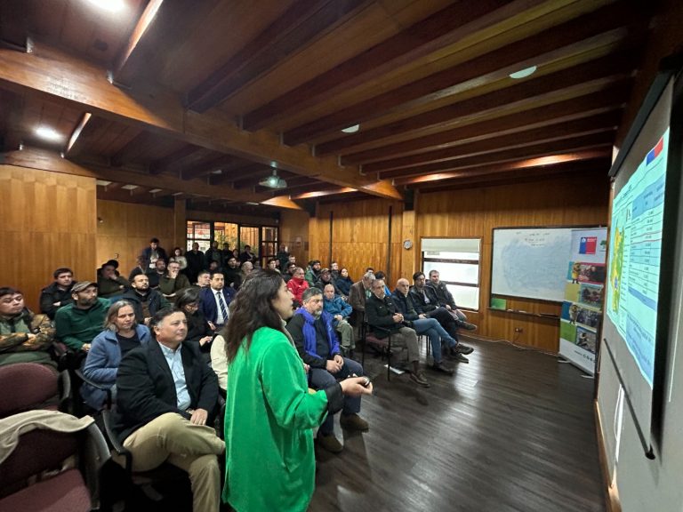 El 63% de la superficie de la Región de Los Ríos está cubierta por ecosistemas boscosos