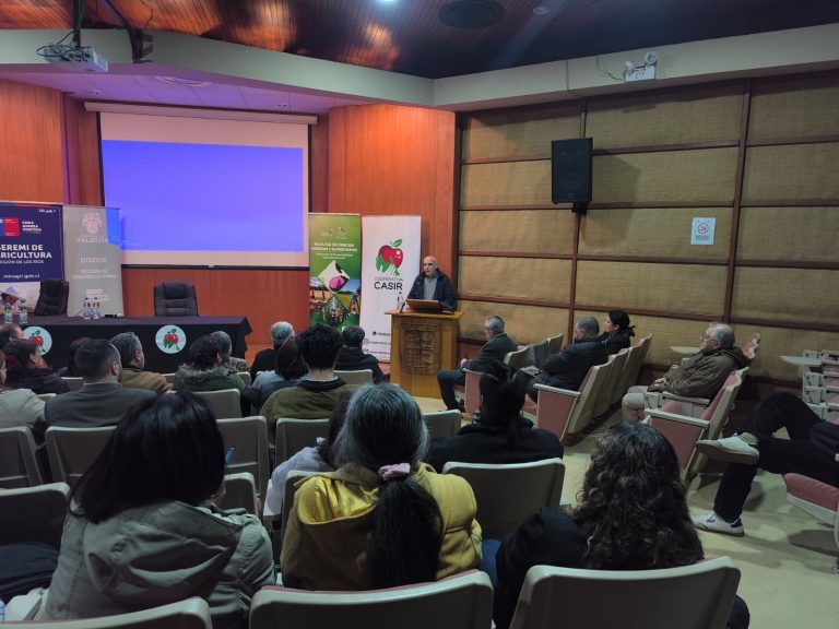 Rescate de manzanas patrimoniales: claves para marcar diferencias en industria de la sidra