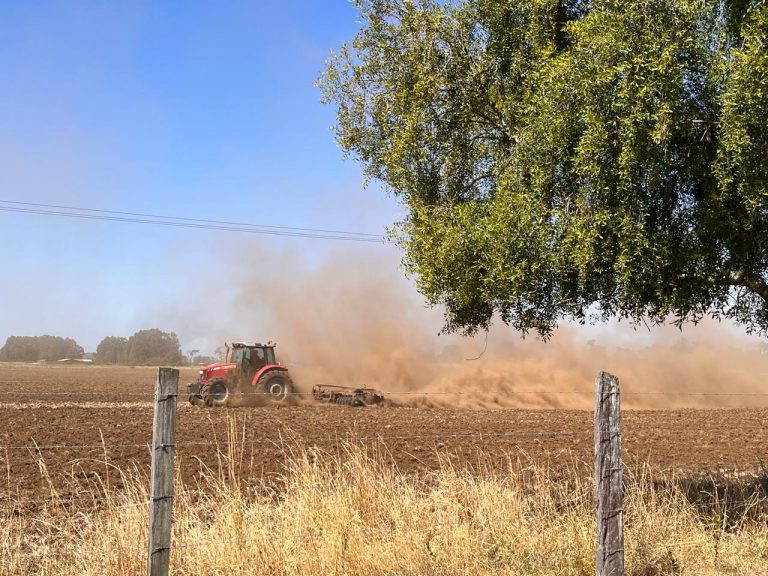 Editorial: ¿Vale esta vida el precio que estamos pagando?