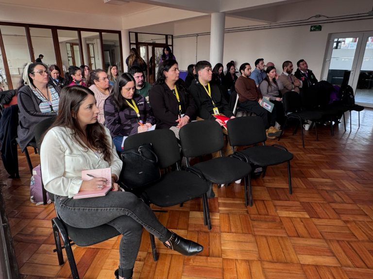 JUNAEB Los Rios realizó Jornada Regional de los Programas HPV en La Unión