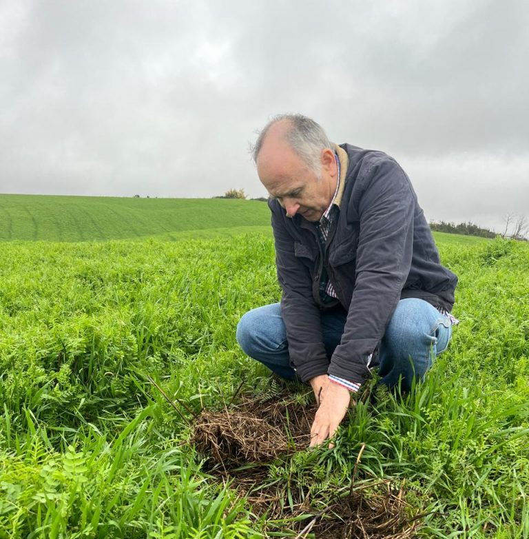 Carbono, nitrógeno y vida microbiana: la fertilidad real de los suelos del sur de Chile