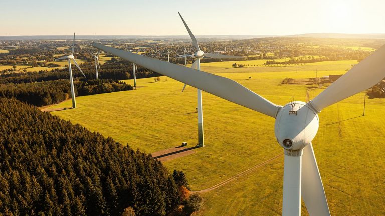 Francisco Espinoza, líder de Ranco sin Eólicas: “Parece que el SEA de Los Ríos está trabajando para la empresa eólica”