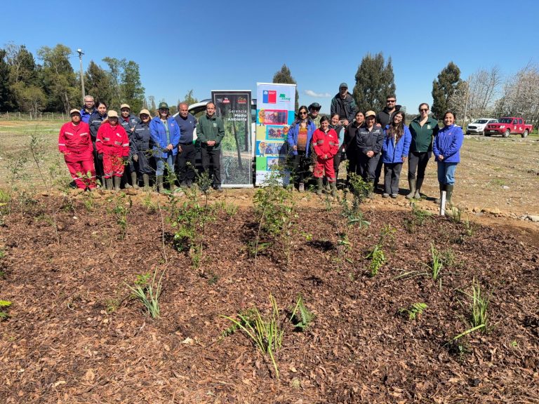 CONAF y COLUN instalan un «Bosque de bolsillo» con el revolucionario método Miyawaki