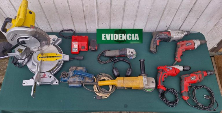 Cinco detenidos en Valdivia por receptación de especies robadas