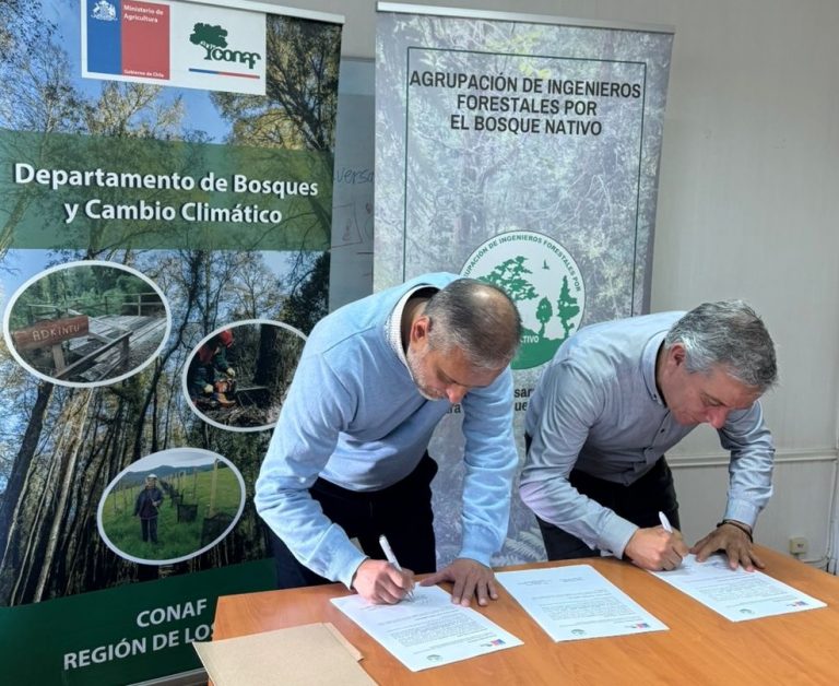 Alianza para el manejo sustentable del bosque nativo: CONAF Los Ríos y AIFBN sellan compromiso de colaboración