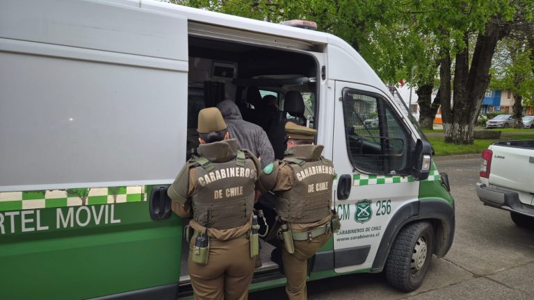 Detenido en Río Bueno por receptación de especies robadas