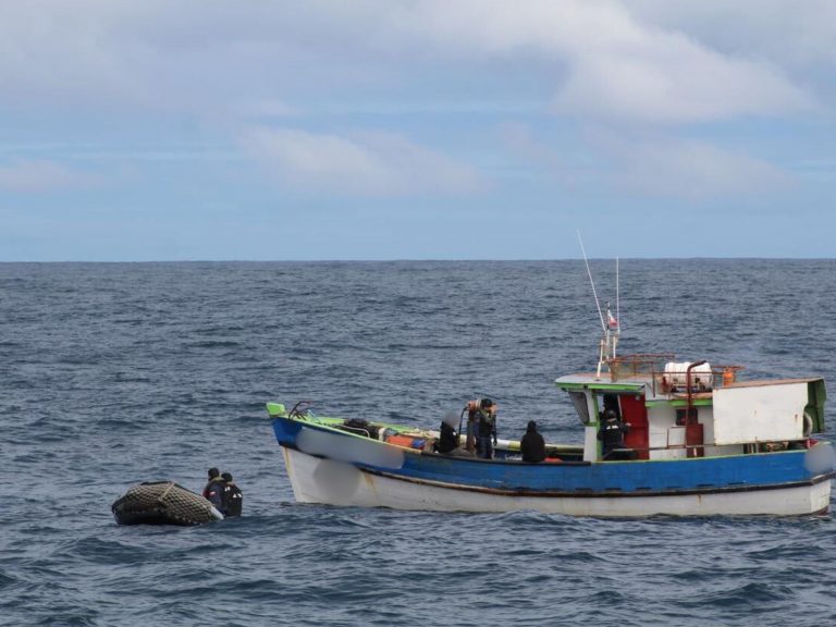Operativo aéreo-marítimo frenó faenas de pesca ilegal de reineta en la región
