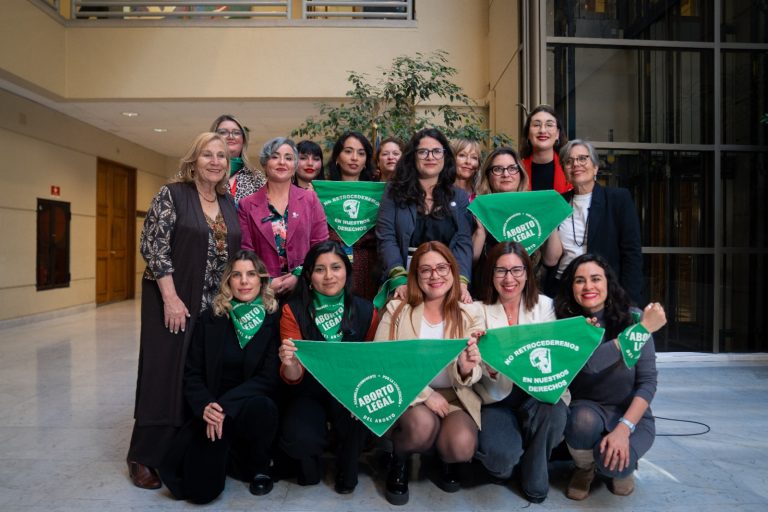 Comisión de Salud de la Cámara inicia discusión por proyecto de ley que permite aborto con plazos  
