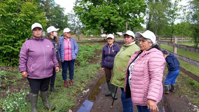 Mujeres rurales: sembrando igualdad, cosechando futuro