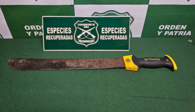 Dos detenidos por agresión y amenazas de muerte en Panguipulli