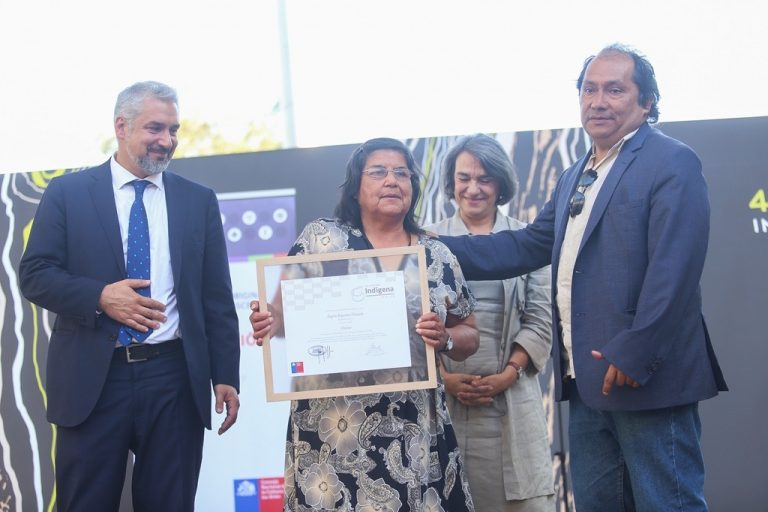 Seremi de las Culturas definió a ocho ganadores de sus Premios Regionales 2025  