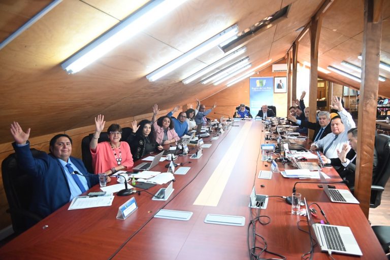 CORE aprobó nuevas concesiones gratuitas para fortalecer desarrollo social, patrimonial y sanitario en la región