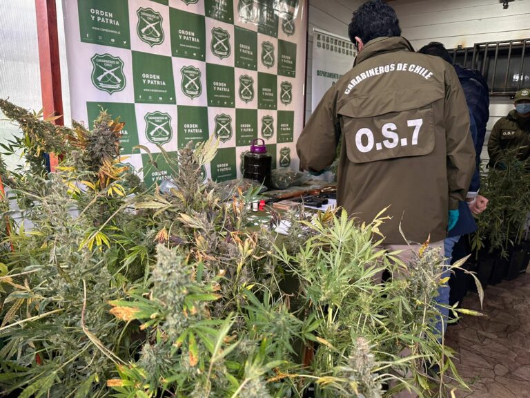 Fiscalía y OS7 de Carabineros desarticulan red criminal en Valdivia: 8 detenidos e incautación de armas y drogas