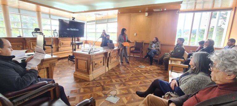 Comité de Género y sector público analizan nudos críticos en implementación de ley integral de protección a la mujer