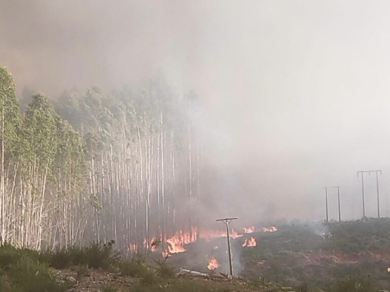 Fiscalía formaliza a jefe de mantenimiento de empresa eléctrica por incendio forestal que afectó más de 2.800 hectáreas