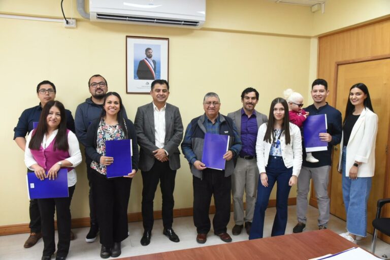 Delegación Presidencial abre postulaciones a beneficio de la Ley 20.330 para jóvenes profesionales en 11 comunas de Los Ríos