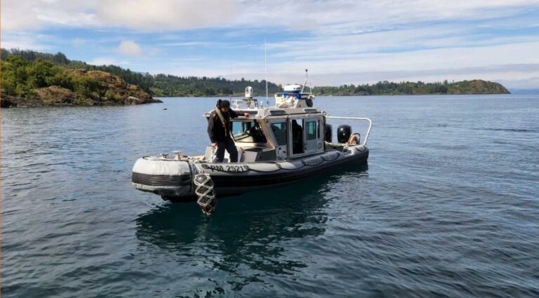 Siete personas salvan ilesas tras volcamiento de lancha Zodiac en Lago Ranco
