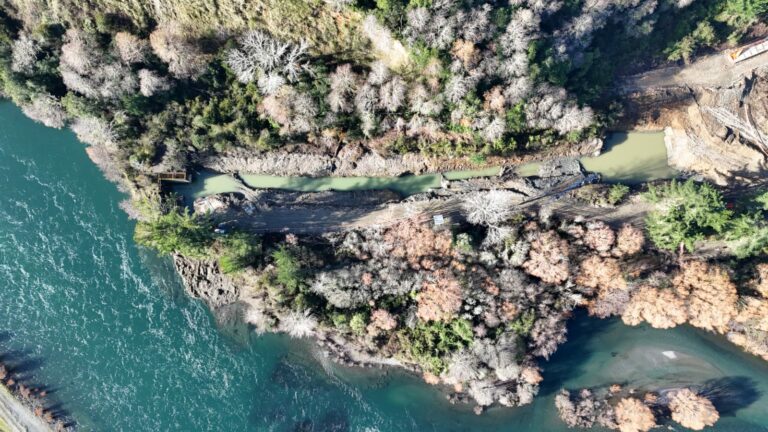 Tribunal Ambiental de Valdivia suspende por completo proyecto de piscicultura en Río San Pedro tras reclamo ciudadano