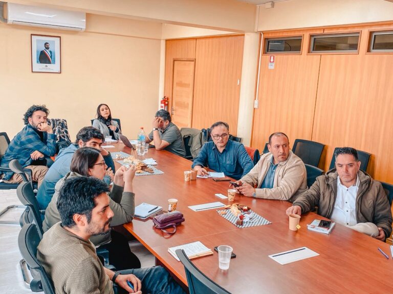 Comité de Biocombustibles Sólidos avanza en la preparación de la futura implementación de la Ley en Los Ríos