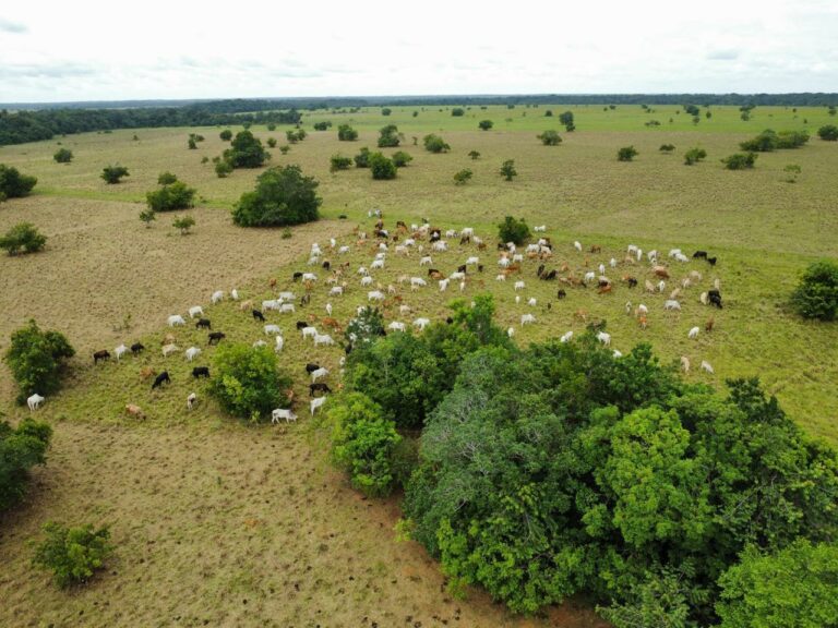 Bill Gates y el dilema climático: bienestar humano o bienestar planetario