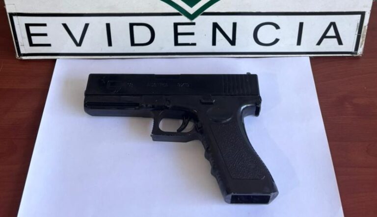 Carabineros detuvo a sujeto que intimidó a trabajador municipal en Valdivia