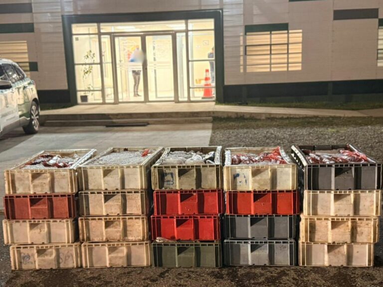 Nuevamente incautan merluza austral en control carretero en la región
