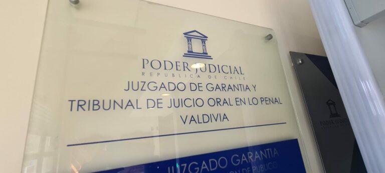 TOP de Valdivia condena a 10 años de presido a conductora por homicidio y lesiones graves en isla Teja