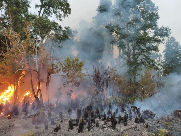 Detenido por generar una quema no autorizada en sector rural de La Unión