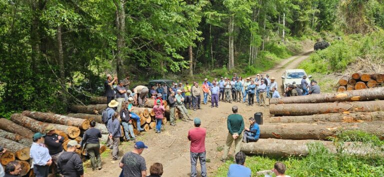 Culmina Primera Cumbre del Bosque Nativo con llamado a reforzar su conservación en Chile