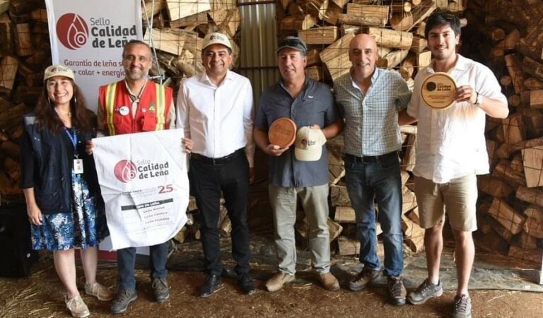 Ministerio de Energía abre proceso de postulación al “Sello Calidad de Leña” en la región de Los Ríos